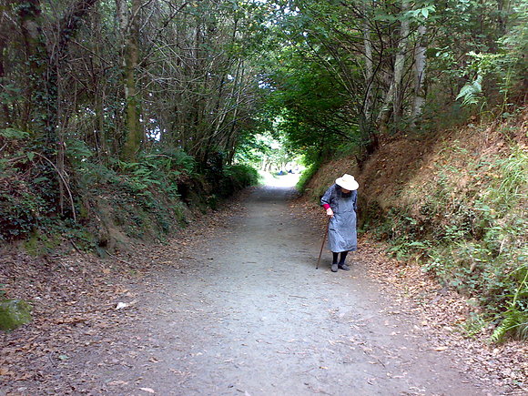 Camino de Santiago,Galicia