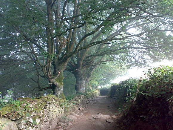 el camino de santiago.27.08.2008