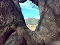 El Collbaix,Sant Joan de Vilatorrada
