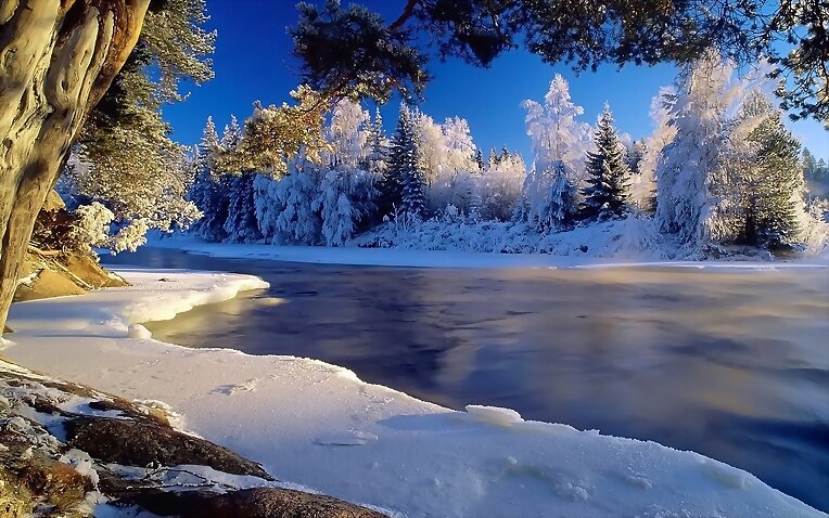 INVIERNO.