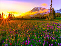 LA PRIMAVERA BESABA...