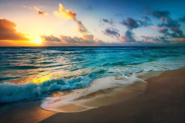 CUANDO VAYAMOS AL MAR...