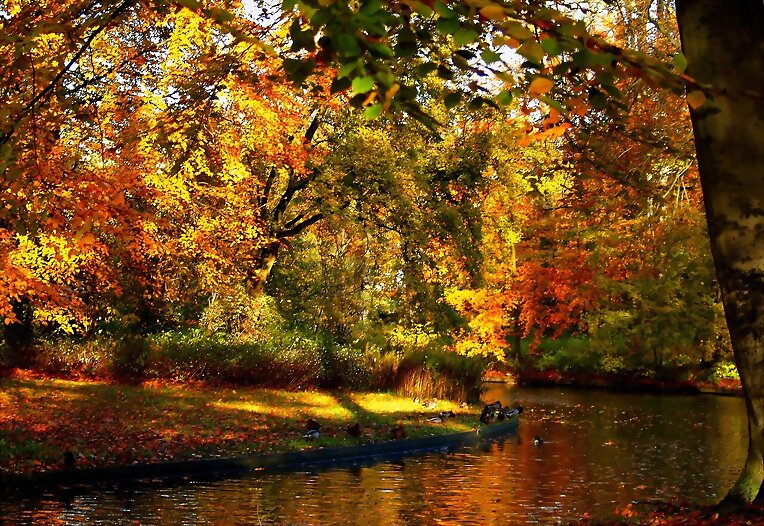 OTOÑO.