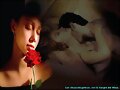 CANCION DEL AMOR PROHIBIDO.