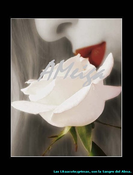 AMAR TUS LABIOS.