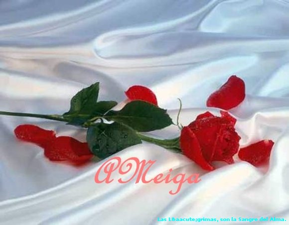 ENTRE PETALOS.