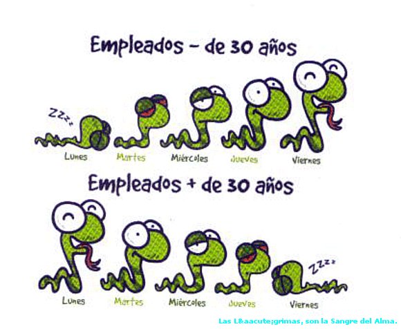 JEFE DE RECURSOS HUMANOS  A TODO EL PERSONAL.