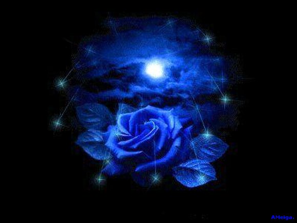 LA LUNA Y LA ROSA.