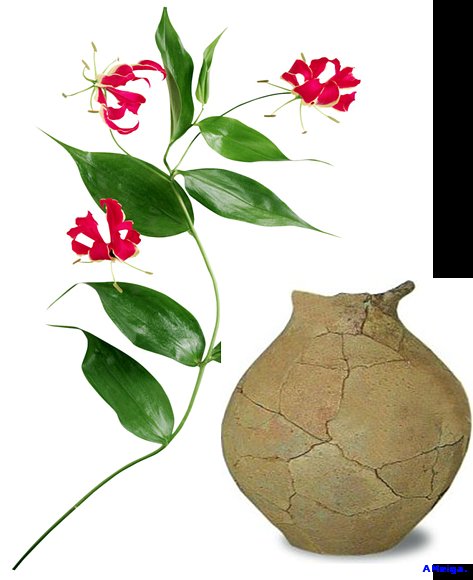 LA VASIJA AGRIETADA.