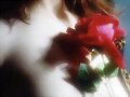 TENGO UNA PEQUE&Ntilde;A FLOR.