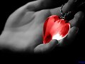 UN CORAZ&Oacute;N SE ALQUILA.