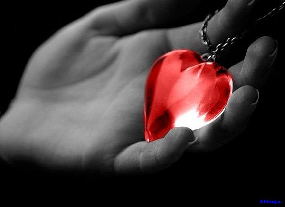 UN CORAZÓN SE ALQUILA.