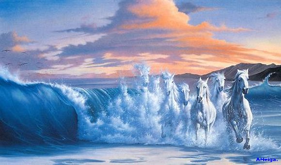 LA SOLEDAD DEL MAR.