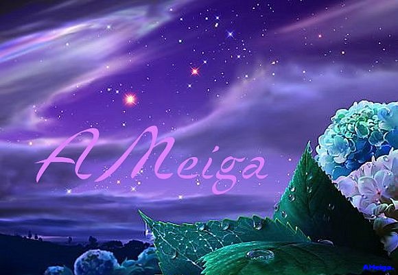 ¿CUANTAS ESTRELLAS TIENE EL CIELO?