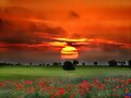 LA FLOR Y LA NUBE.