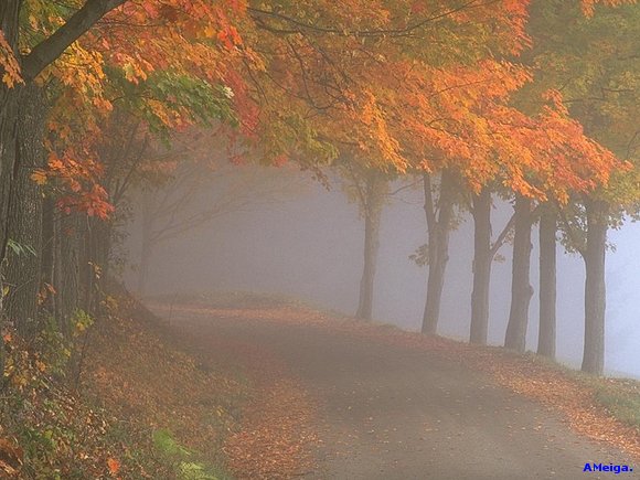 NIEBLA.