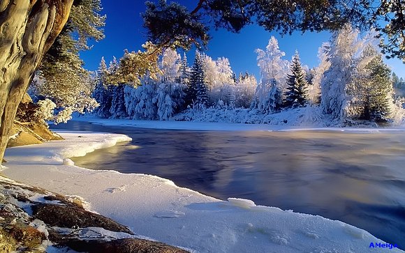 INVIERNO.