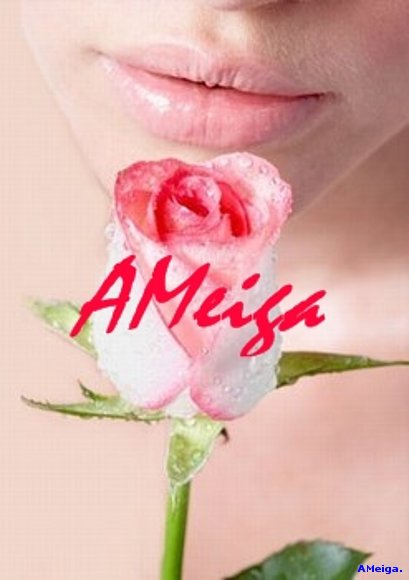 UNA ROSA.