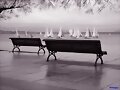 CANCI&Oacute;N DE SAN JAMAS.