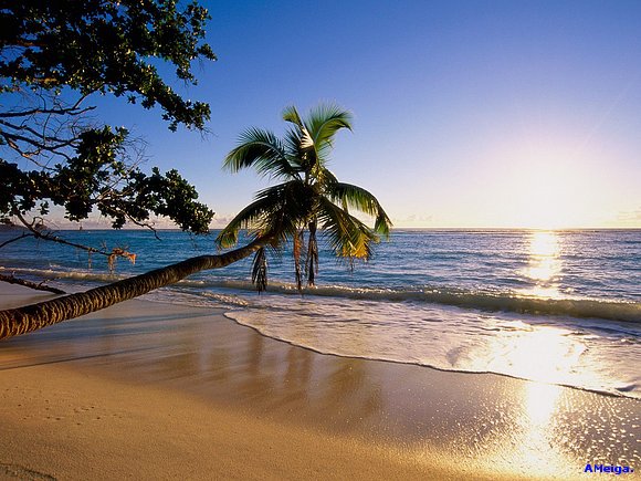 LA PLAYA Y EL MAR.