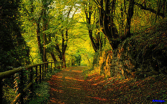 YO VOY SOÑANDO CAMINOS...