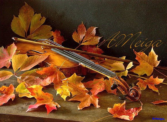 AL SON DE UN VIOLIN.