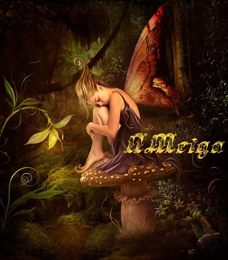 LA MARIPOSA QUE NO PODIA VOLAR.