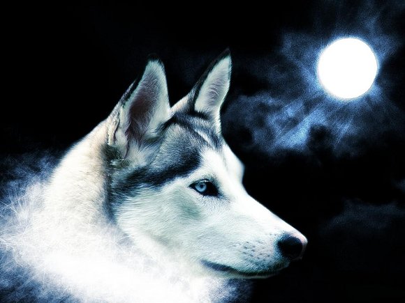 a la luz de la luna