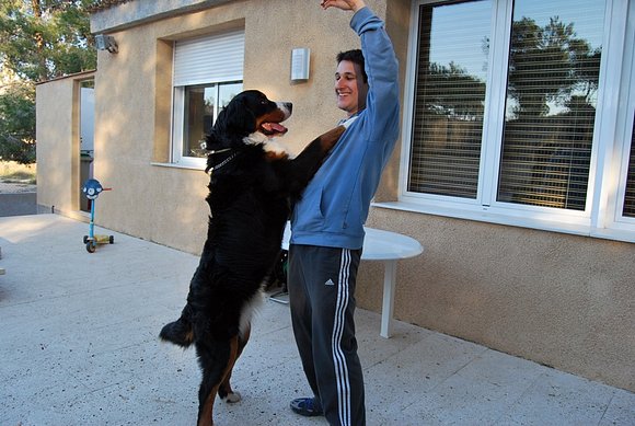 Momento Sevillanas con Bronko