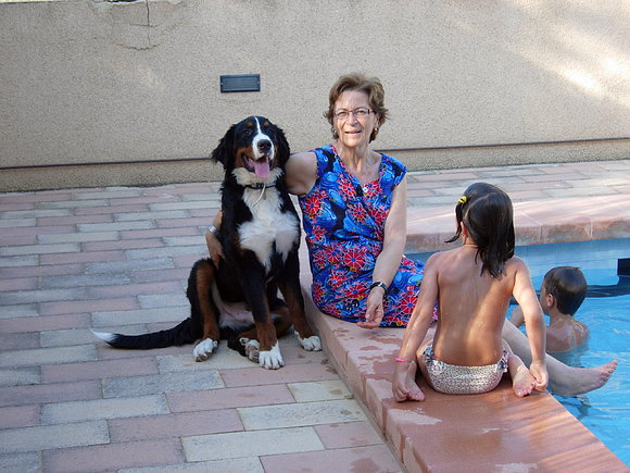Bronko con su mamá obsevando a los bañistas