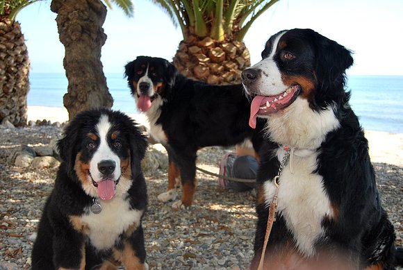 Sachita, Asia y yo de fondo