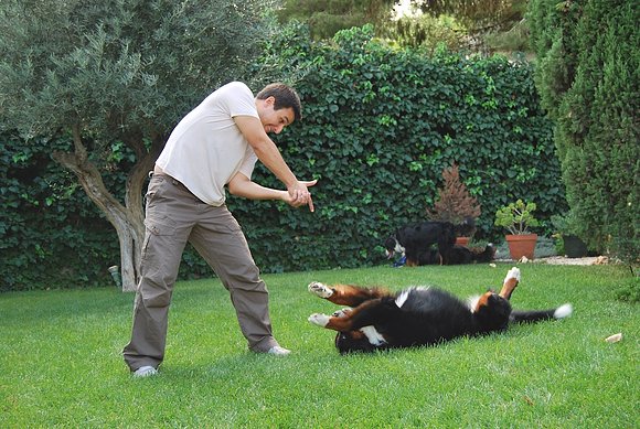Bronko estas rodeado!!!!!
