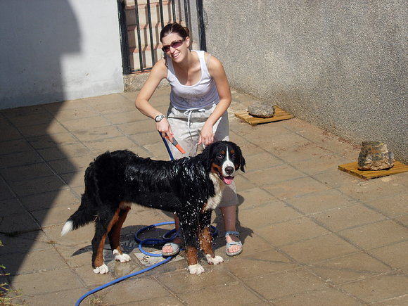 Bronko bañando a Cris