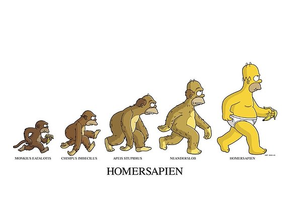 HomerSapien