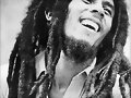 ROBERT NESTA MARLEY