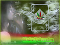 Dreadlock