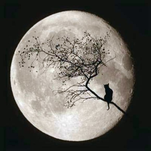 PENSANDO EN LA NOCHE,,,,,,TODO SE VE MEJOR