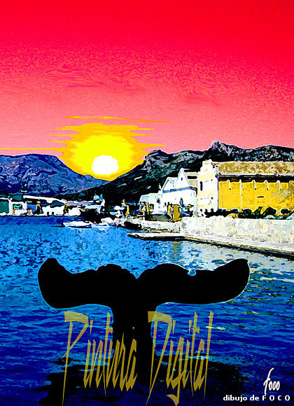Ballena en el Puerto de Cartagena