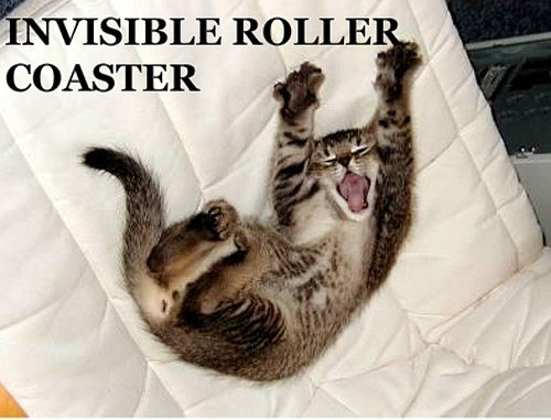 Gatitos