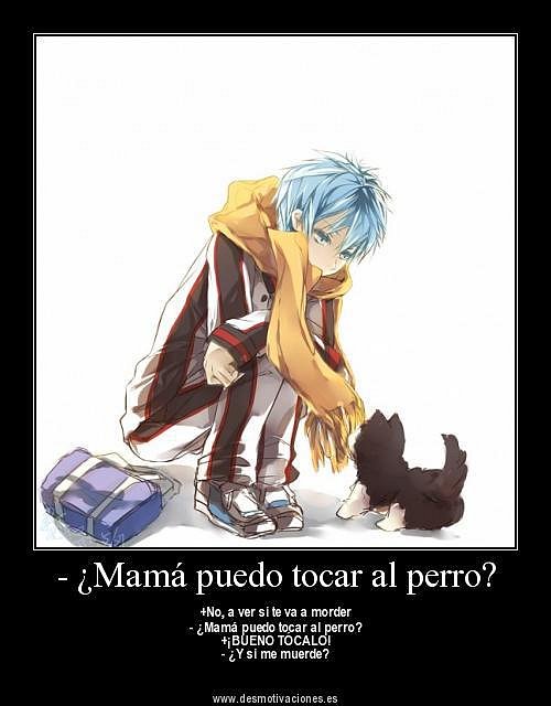 Perro