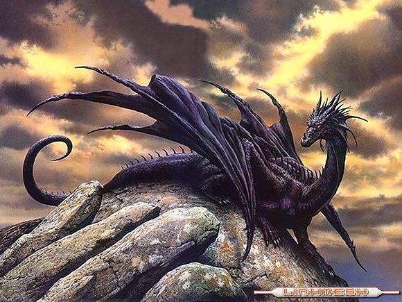el dragon negro