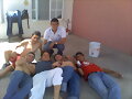 el tois