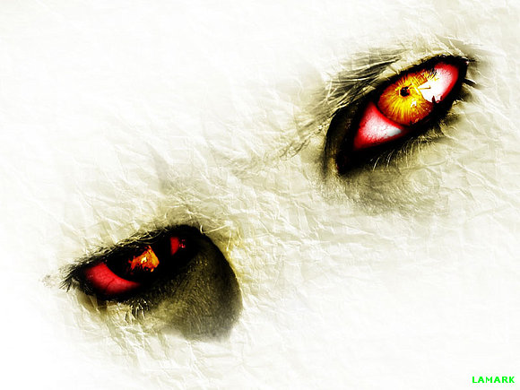 CORAZON PERDIDO