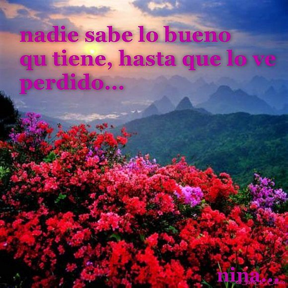 Nadie sabe lo que tiene hasta que lo ve perdido.