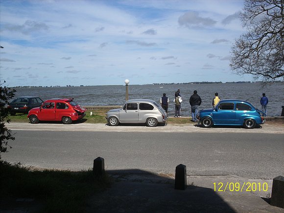 fitos en chascomus