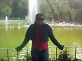 en el d.f