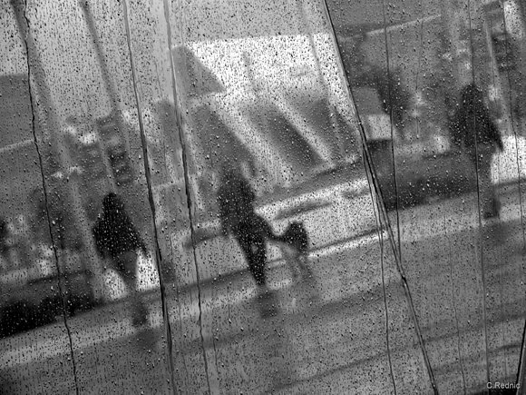 blured reflections