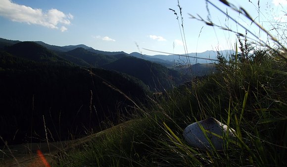 Watching the valley...    (Budesti, Romania)