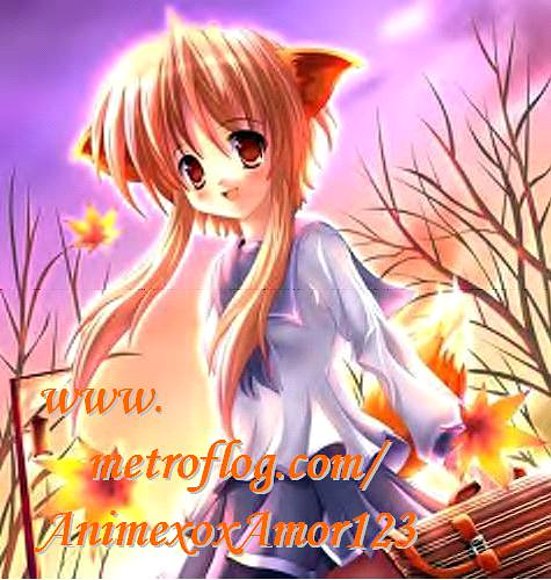 El anime