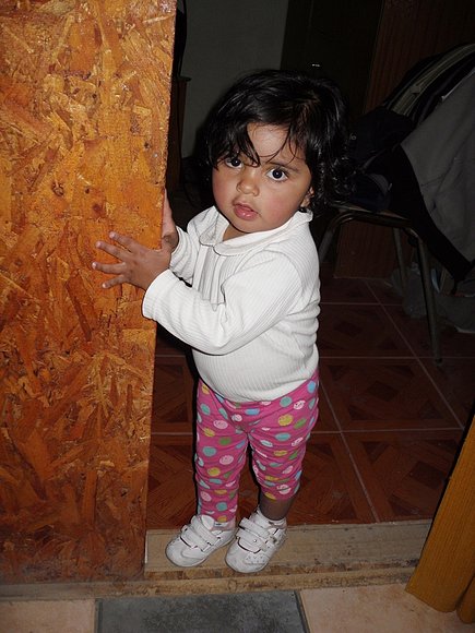 Ivana  Romero Villarroel.